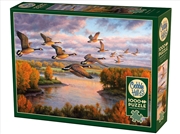 Buy Migration 1000Pc