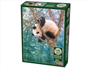 Buy Golden Child 1000Pc