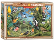 Buy Garden Birds, Jardin 1000Pc