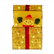 Buy Animated Snowman Gift Box Led