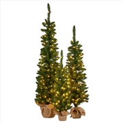 Buy Set of 3 Pre-Lit Christmas Trees Green Pine