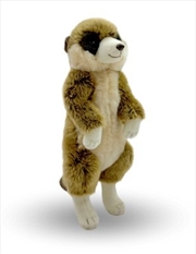 Buy Meerkat 30 cm