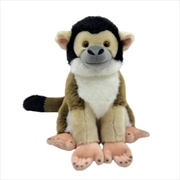 Buy Squirrel Monkey 30 cm