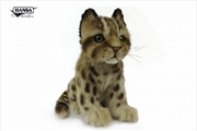 Buy Leopard Cat Shihu Cub 22 cm L