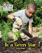 Buy Be A Green Star : Phase 4 Set 2 Stretch And Challenge