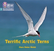 Buy Terrific Arctic Terns : Phase 3 Set 2