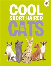 Buy Cool Short-Haired Cats