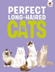 Buy Perfect Long-Haired Cats