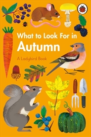 Buy What To Look For In Autumn