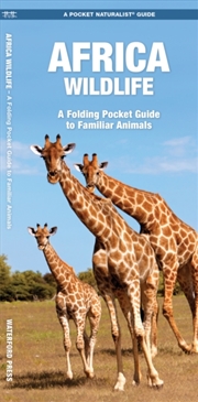 Buy African Wildlife : A Folding Pocket Guide To Familiar Species