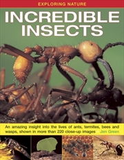 Buy Exploring Nature: Incredible Insects