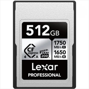 Buy 512Gb - Cfexpress Type A Professional Silver Series, Up To 800Mb/S Read, 700Mb/S Write, Vpg200, 8K