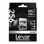 Buy 256Gb - Cfexpress Type A Professional Silver Series, Up To 800Mb/S Read, 700Mb/S Write, Vpg200, 8K