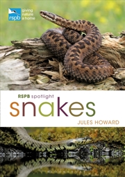 Buy Rspb Spotlight Snakes