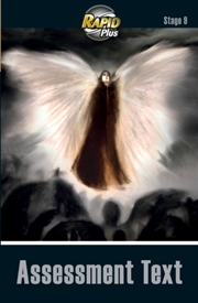 Buy Rapidplus Assessment Book Stag