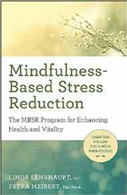 Buy Mindfulnessbased Stress Reduct