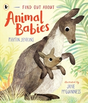 Buy Find Out About Animal Babies