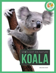Buy Koala