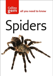 Buy Gem Spiders