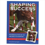 Buy Shaping Success