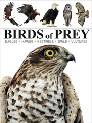 Buy Birds Of Prey