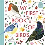 Buy My First Book Of Birds