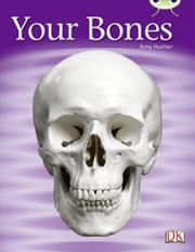 Buy Your Bones 6pack