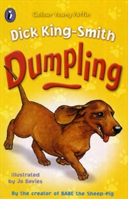Buy Dumpling