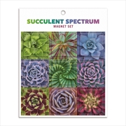 Buy Succulent Spectrum Magnet Set