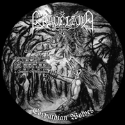 Buy Carpathian Wolves - Picture Di