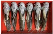 Buy Christmas Clip 6Pk Bird Dec Silver