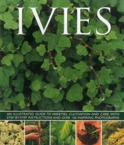 Buy Ivies
