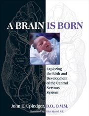 Buy A Brain Is Born : Exploring The Birth And Development Of The Central Nervous System