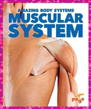 Buy Muscular System