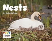 Buy Nests