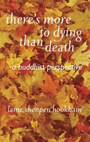Buy There's More To Dying Than Death: A Buddhist Perspective