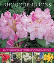 Buy Rhododendrons