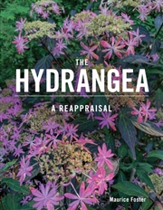 Buy The Hydrangea : A Reappraisal