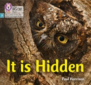 Buy It Is Hidden : Phase 3 Set 2