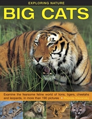 Buy Exploring Nature: Big Cats
