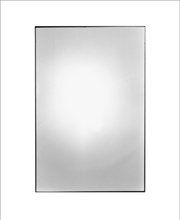 Buy Zoe Leonard: Available Light