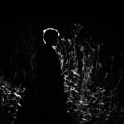 Buy A Body Like A Home