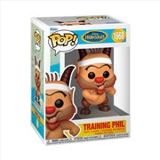 Buy Hercules (1997) - Phil (Training) Pop! Vinyl