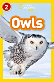 Buy Owls : Level 2