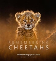 Buy Remembering Cheetahs