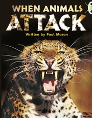 Buy Bug Club Independent Non Fiction Year Two Purple A When Animals Attack