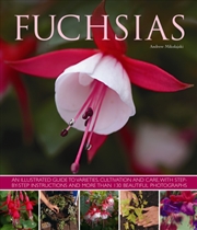 Buy Fuchsias : An Illustrated Guide To Varieties, Cultivation And Care, With Step-By-Step Instructions A