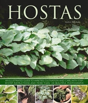 Buy Hostas : An Illustrated Guide To Varieties, Cultivation And Care, With Step-By-Step Instructions And
