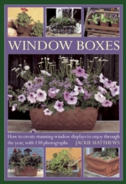 Buy Window Boxes : How To Create Stunning Window Displays To Enjoy Throughout The Year