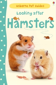Buy Looking After Hamsters